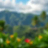 View of a scenic Hawaiian landscape with vibrant flora