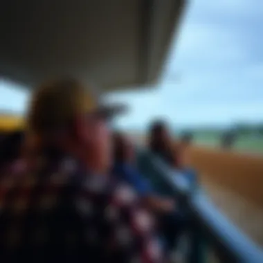 Spectators at Pompano Beach Horse Racing Spectators watching a horse race at Pompano Beach